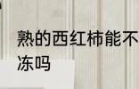 熟的西红柿能不能冷冻 西红柿可以冷冻吗