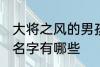 大将之风的男孩名字 大将之风的男孩名字有哪些