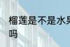 榴莲是不是水果之王 榴莲是水果之王吗