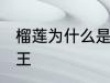 榴莲为什么是水果王 榴莲为何是水果王