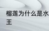 榴莲为什么是水果王 榴莲为何是水果王