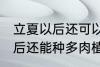 立夏以后还可以种多肉植物吗 立夏以后还能种多肉植物吗