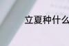 立夏种什么 立夏种的植物