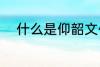 什么是仰韶文化 仰韶文化的解释