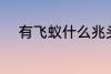 有飞蚁什么兆头 有飞蚁哪种兆头