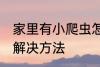 家里有小爬虫怎么办 家里有小爬虫的解决方法