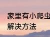家里有小爬虫怎么办 家里有小爬虫的解决方法