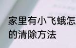 家里有小飞蛾怎么消灭 家里有小飞蛾的清除方法