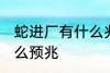 蛇进厂有什么兆头 工厂里出现蛇是什么预兆