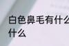 白色鼻毛有什么兆头 白色鼻毛代表了什么