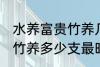 水养富贵竹养几支最旺运财 水养富贵竹养多少支最旺运财