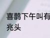 喜鹊下午叫有什么兆头 喜鹊下午叫的兆头