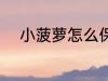 小菠萝怎么保存 怎么存放小菠萝