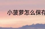 小菠萝怎么保存 怎么存放小菠萝