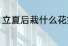 立夏后栽什么花好 立夏后栽哪些花好
