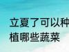 立夏了可以种植什么蔬菜 立夏可以种植哪些蔬菜