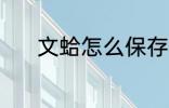 文蛤怎么保存 文蛤的保存方法