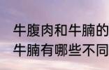 牛腹肉和牛腩的区别是什么 牛腹肉和牛腩有哪些不同