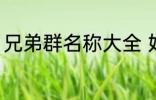 兄弟群名称大全 好听霸道兄弟群名称