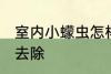 室内小蠓虫怎样去除 室内小蠓虫如何去除