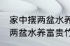 家中摆两盆水养富贵竹好不好 家中摆两盆水养富贵竹可以吗