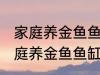 家庭养金鱼鱼缸里放什么水草好呢 家庭养金鱼鱼缸里放哪种水草好呢
