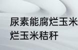尿素能腐烂玉米秸秆吗 尿素能不能腐烂玉米秸秆