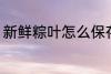 新鲜粽叶怎么保存 新鲜粽叶如何保存