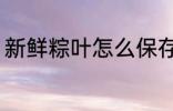 新鲜粽叶怎么保存 新鲜粽叶如何保存
