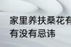 家里养扶桑花有忌讳吗 家里养扶桑花有没有忌讳