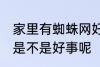 家里有蜘蛛网好事坏事 家里有蜘蛛网是不是好事呢