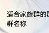 适合家族群的群名称 有哪些家族群的群名称