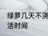 绿萝几天不浇水会死 不浇水的绿萝成活时间