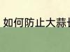 如何防止大蒜长牙 怎样防止大蒜长牙