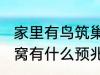 家里有鸟筑巢什么征兆 小鸟来家里做窝有什么预兆