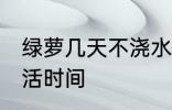 绿萝几天不浇水会死 不浇水的绿萝成活时间