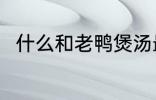什么和老鸭煲汤最好 老鸭煲汤做法