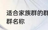 适合家族群的群名称 有哪些家族群的群名称