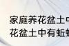 家庭养花盆土中有蚯蚓怎么办 家庭养花盆土中有蚯蚓的解决方法