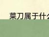 菜刀属于什么垃圾 菜刀所属垃圾