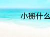 小掰什么意思 小掰的意思