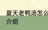 夏天老鸭汤怎么煲 夏季老鸭汤的做法介绍