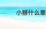 小掰什么意思 小掰的意思