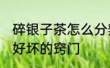 碎银子茶怎么分辨好坏 分辨碎银子茶好坏的窍门