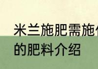 米兰施肥需施什么肥料 米兰施肥需施的肥料介绍