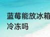 蓝莓能放冰箱冷冻吗 蓝莓可以放冰箱冷冻吗
