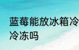蓝莓能放冰箱冷冻吗 蓝莓可以放冰箱冷冻吗