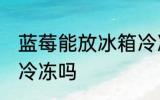 蓝莓能放冰箱冷冻吗 蓝莓可以放冰箱冷冻吗
