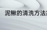 泥鳅的清洗方法家庭 泥鳅如何清洗