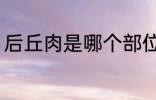 后丘肉是哪个部位 后丘肉在哪个部位